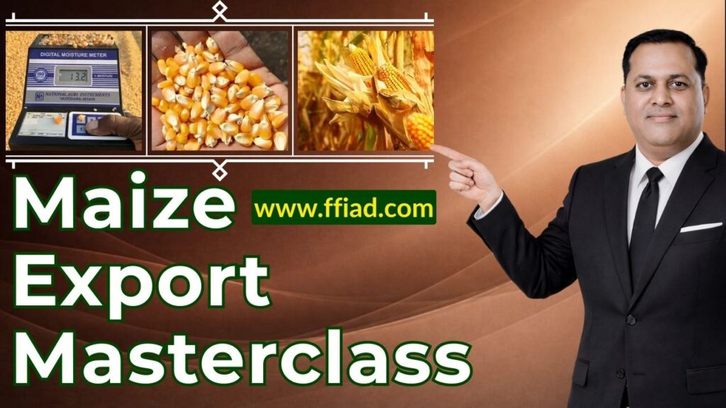 mc cer maize 003 oopyieml