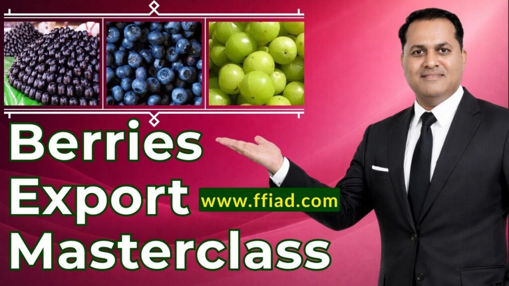 mc ffv berries 027 dr bcfbx