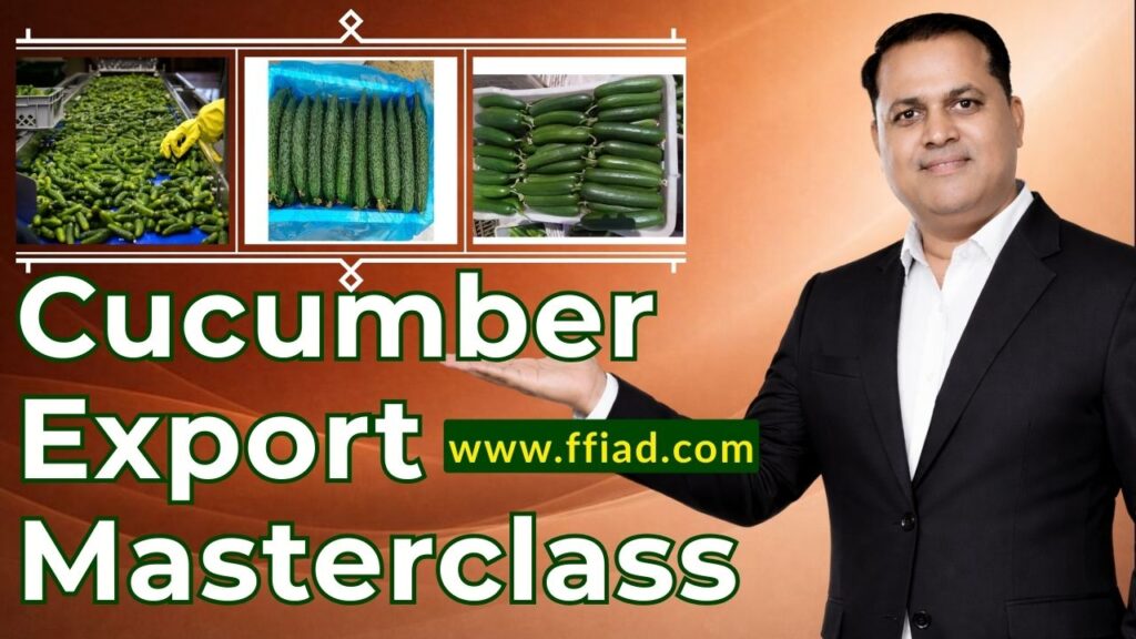 mc ffv cucumber 009 bh6p kh8