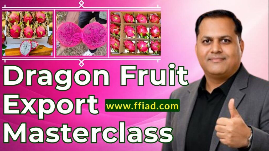 mc ffv dragon fruit 022 cf8m4wuf