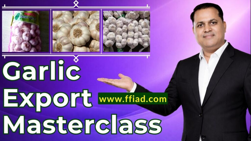 mc ffv garlic 003 d6xsxztv