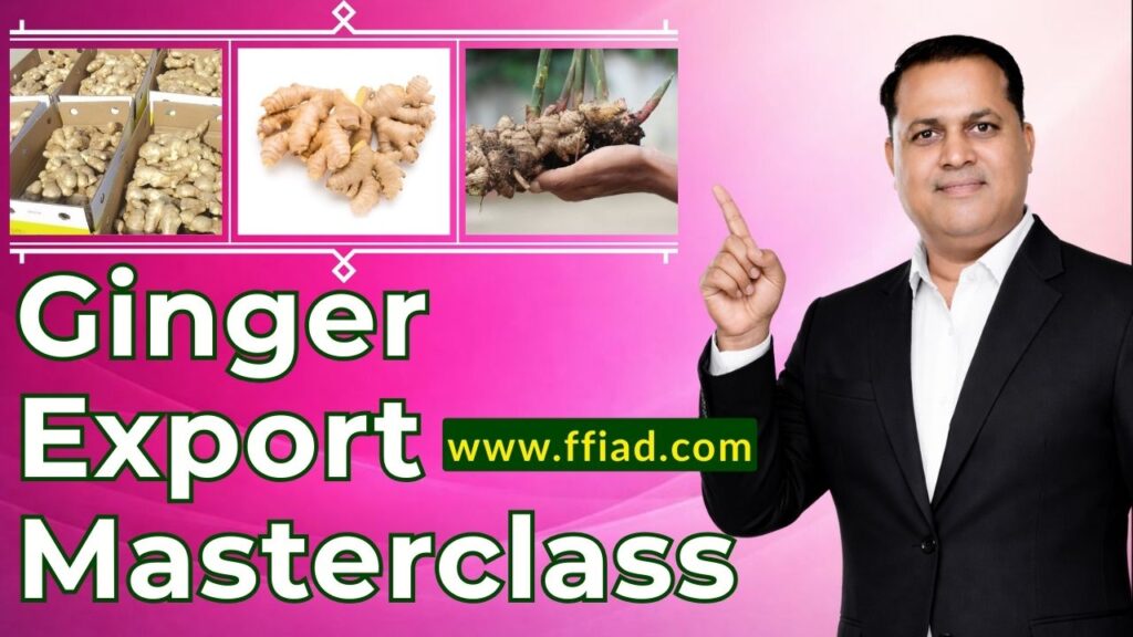 mc ffv ginger 004 civn0clh