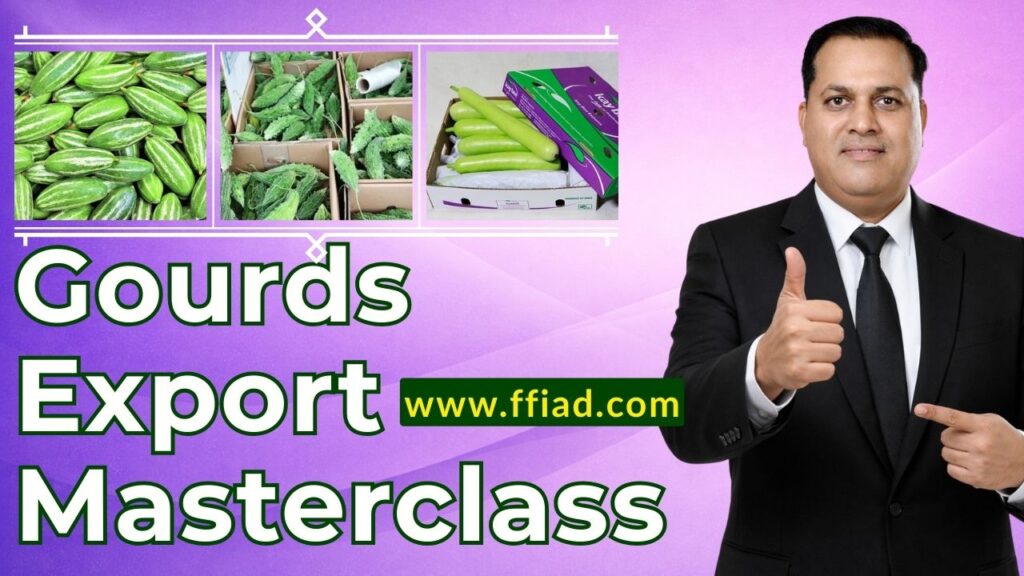 mc ffv gourds 008 bxppj9sy