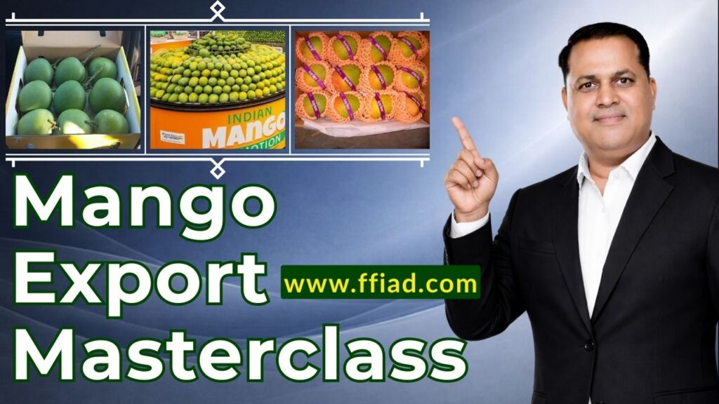 mc ffv mango 017 cs5sm9 f