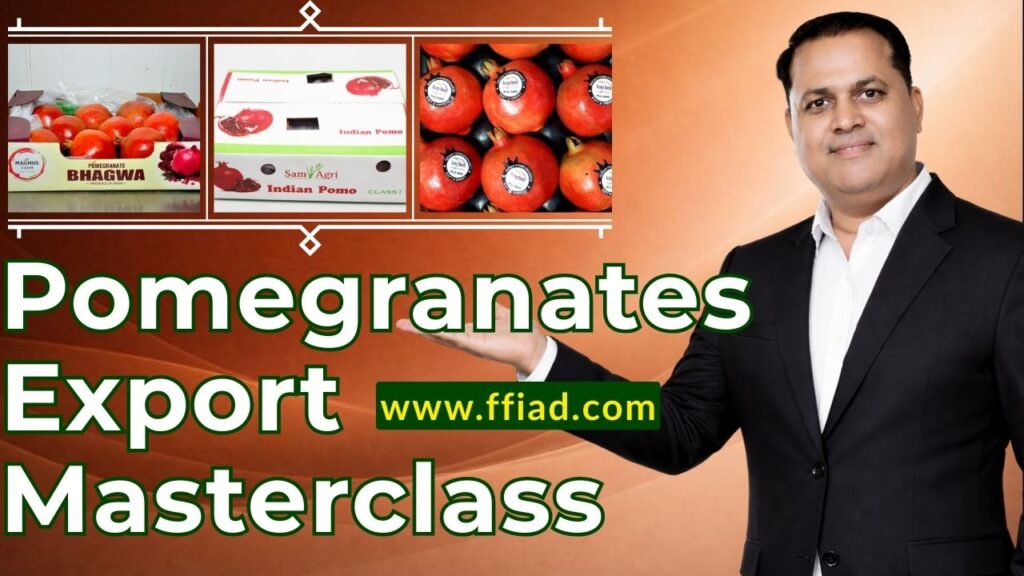 mc ffv pomegranate 016 foig6a1c