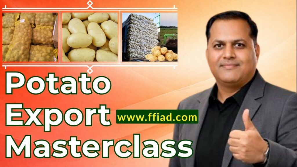 mc ffv potato 014 cructyfc