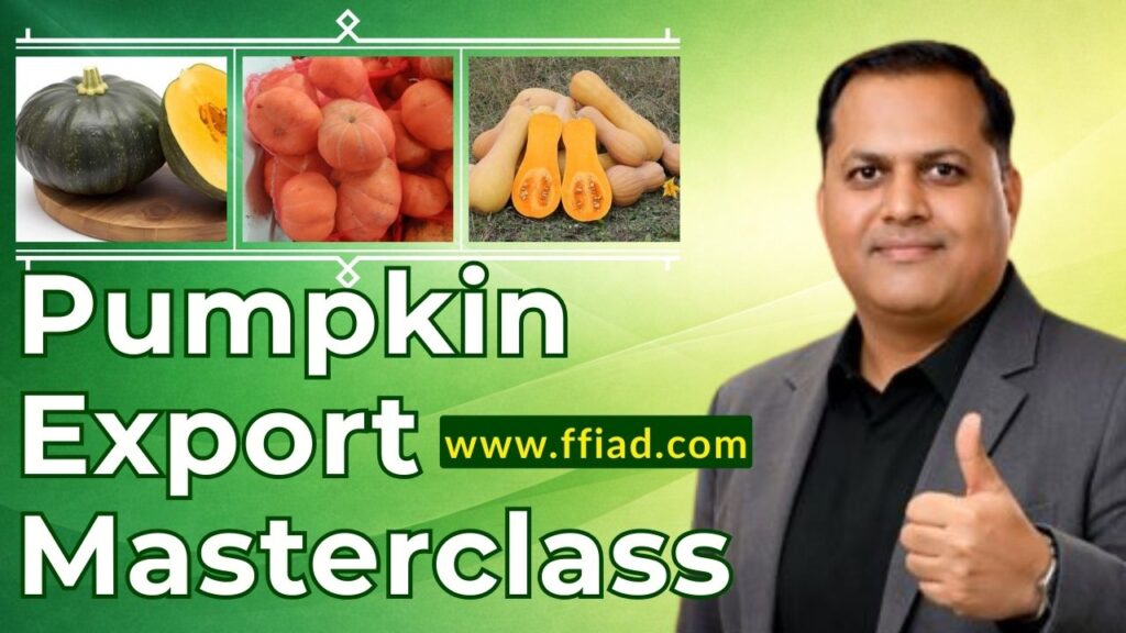 mc ffv pumpkin 007 c3cyr4 l