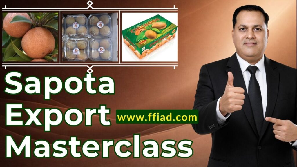 mc ffv sapota 023 unrlkrzw