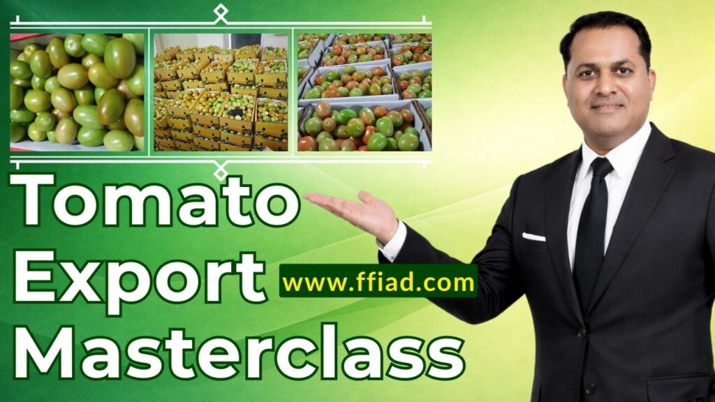 mc ffv tomato 011 bhc7dzga