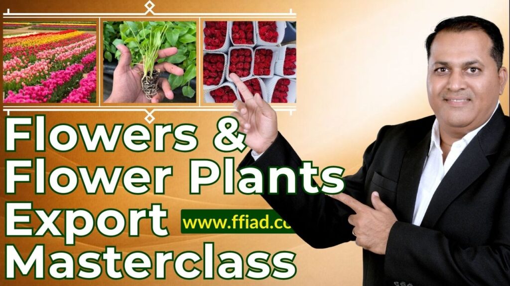 mc fs flowers plants 080 cbcr2rkc