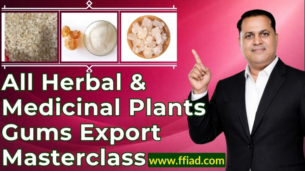 mc hm herbal gums 012 bt4i2ysw