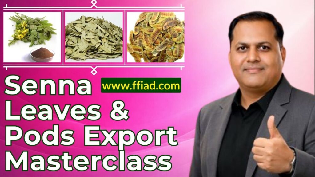 mc hm senna 080 zohac r3