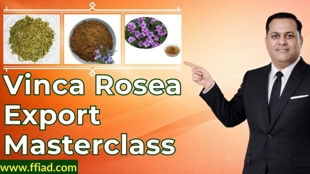 mc hm vinca rosea 008 c4uqycns