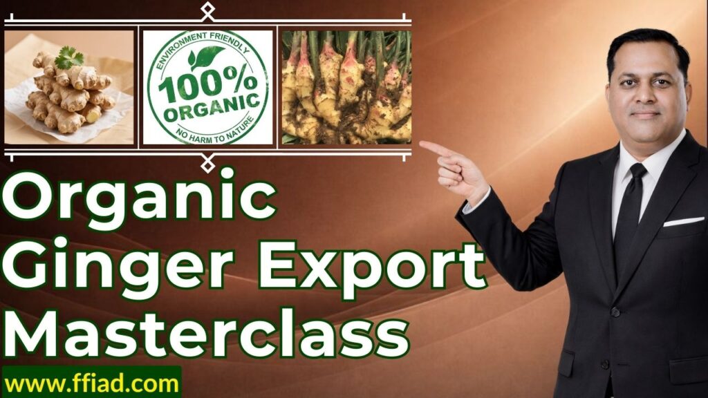 mc org organic ginger 094 dusvqtwe